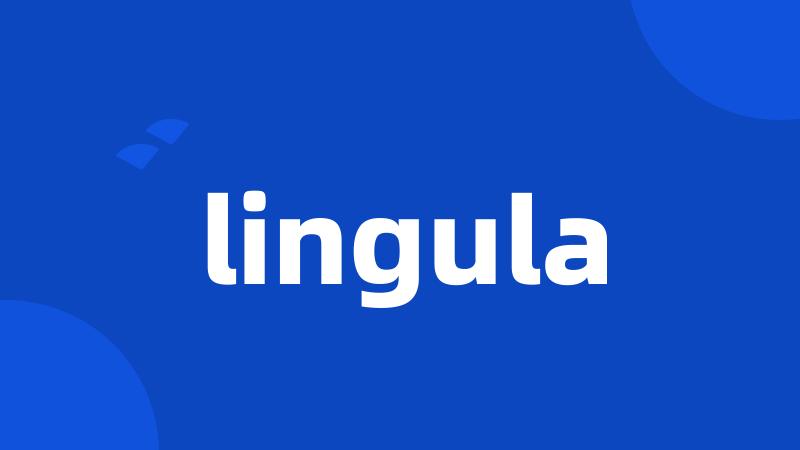 lingula