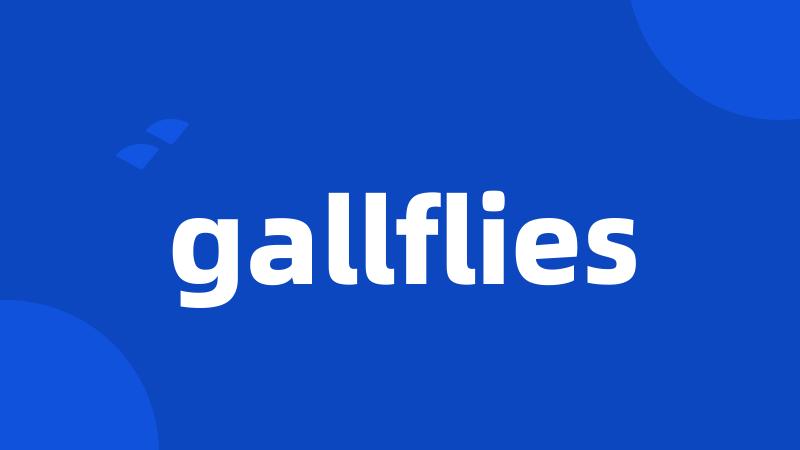 gallflies