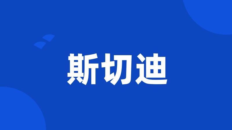 斯切迪
