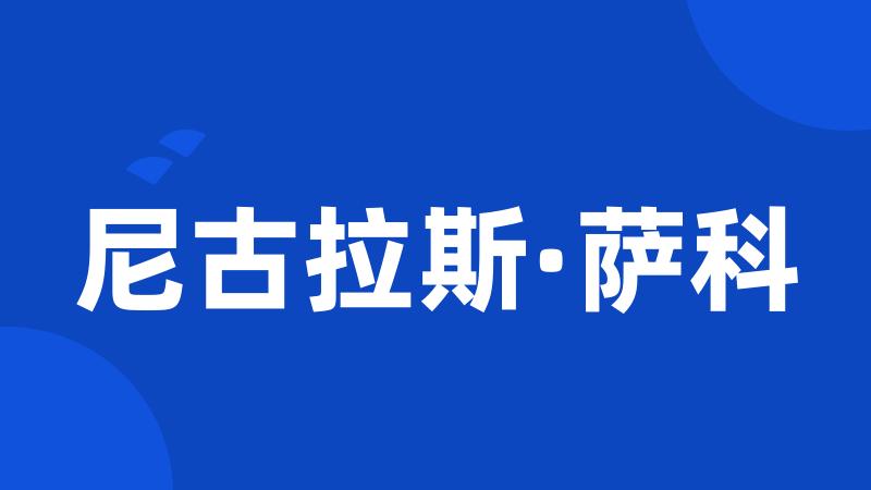 尼古拉斯·萨科