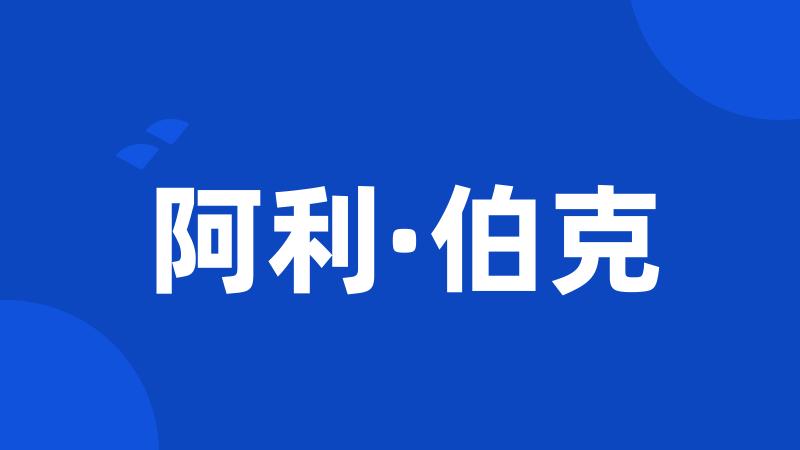 阿利·伯克