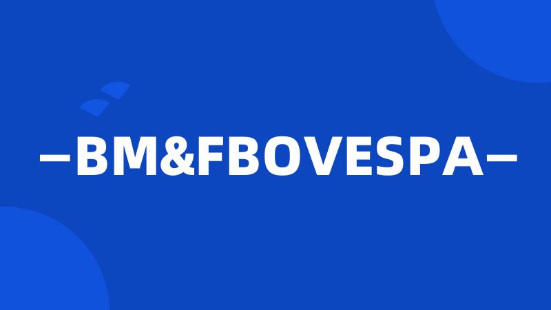 —BM&FBOVESPA—