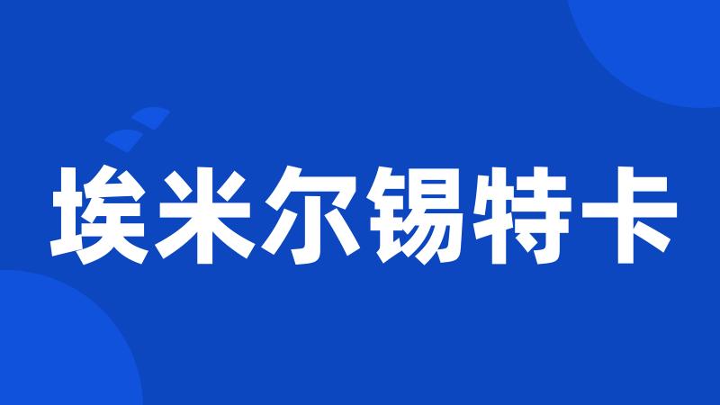 埃米尔锡特卡