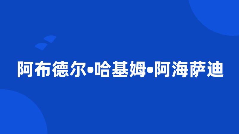 阿布德尔•哈基姆•阿海萨迪