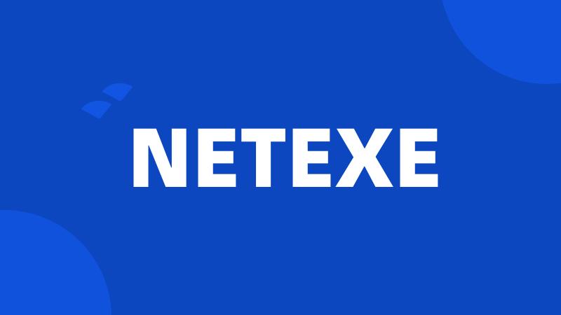 NETEXE
