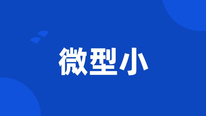 微型小