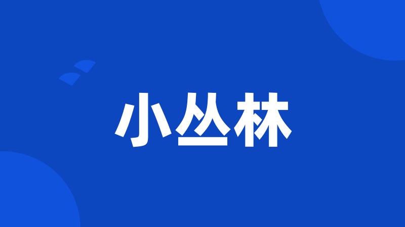 小丛林
