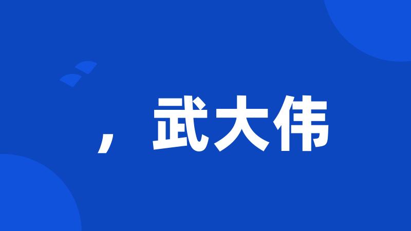 ,武大伟