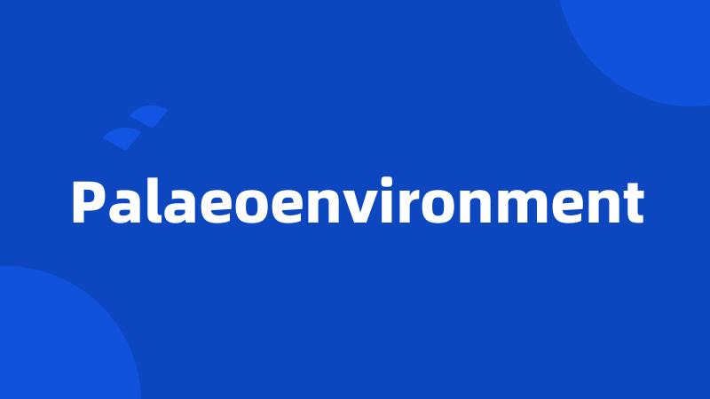 Palaeoenvironment