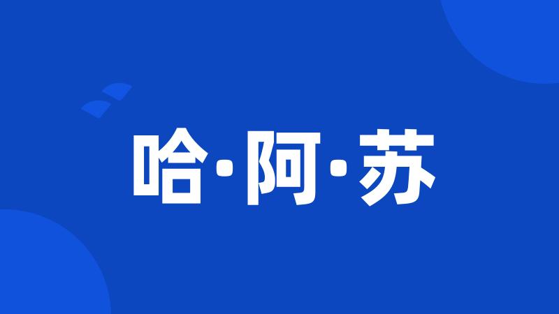 哈·阿·苏