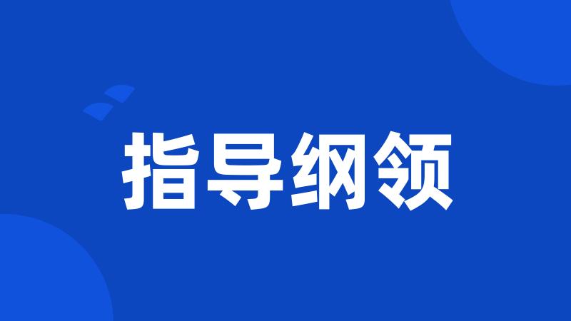 指导纲领