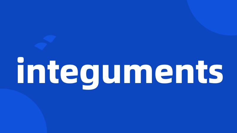 integuments