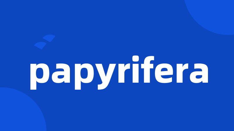 papyrifera