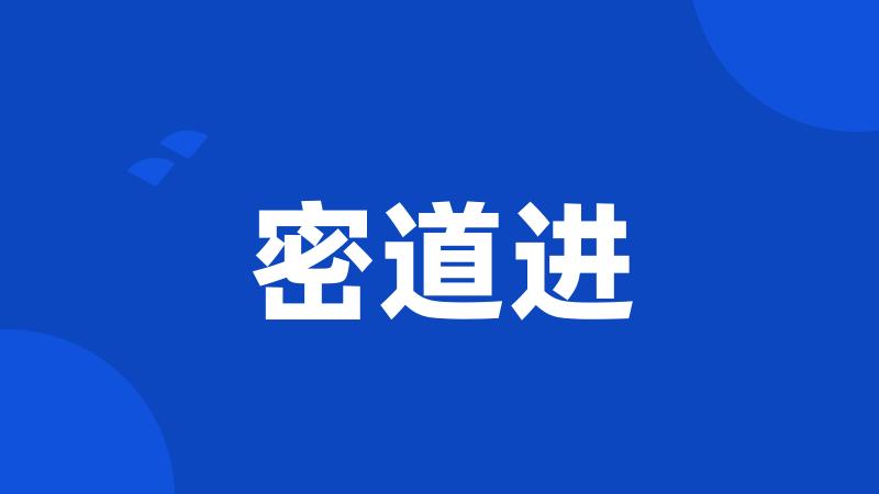 密道进
