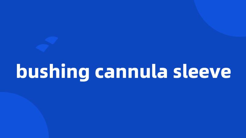 bushing cannula sleeve