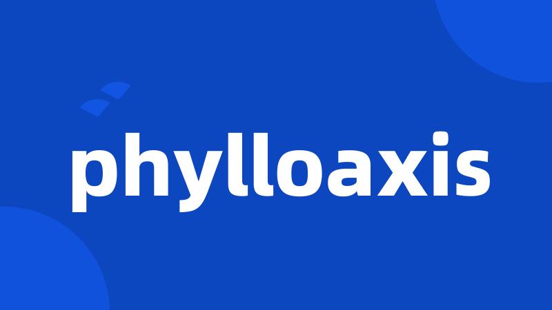 phylloaxis