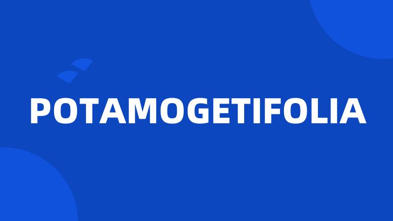 POTAMOGETIFOLIA