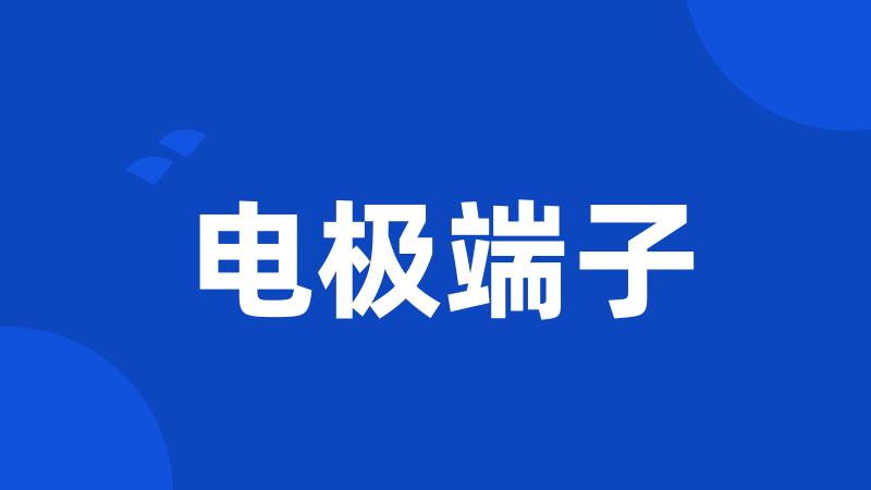 电极端子