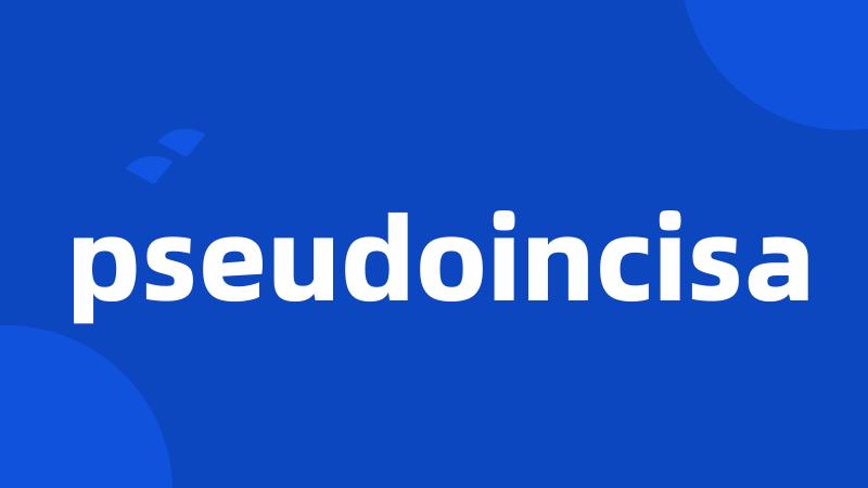 pseudoincisa