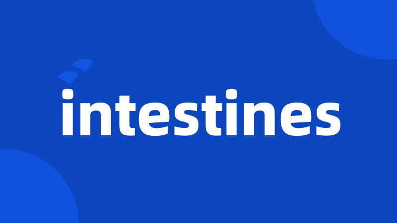 intestines