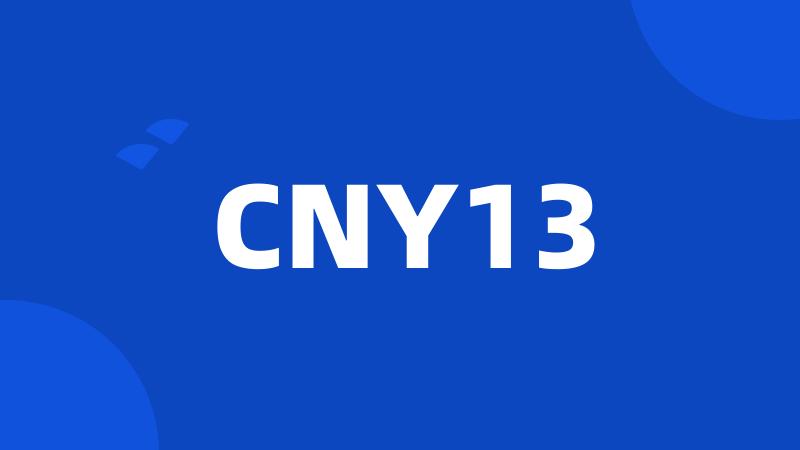 CNY13