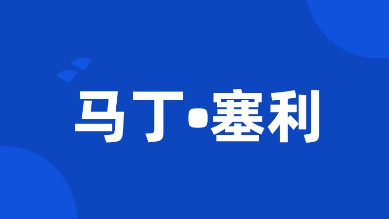马丁•塞利