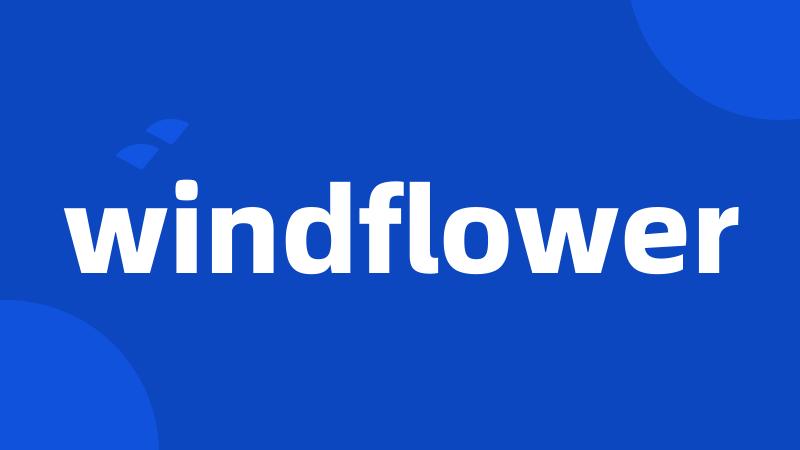 windflower