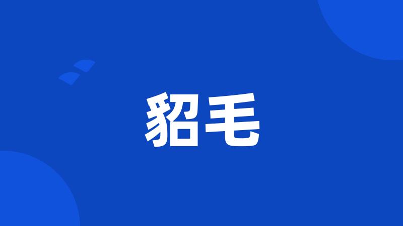 貂毛