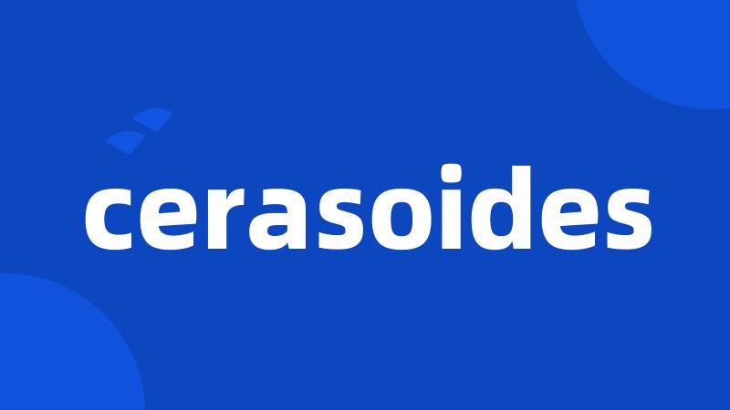 cerasoides