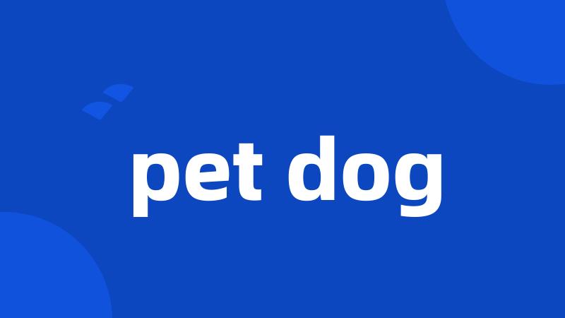 pet dog