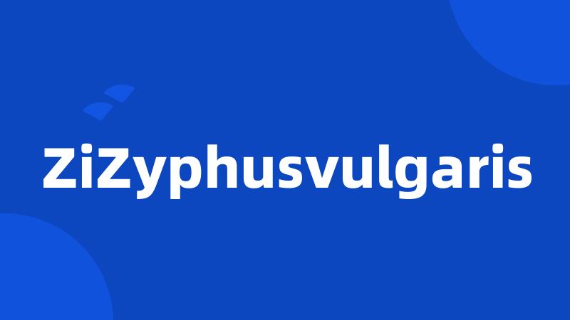 ZiZyphusvulgaris