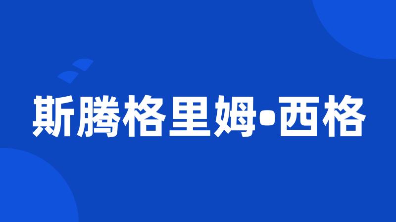 斯腾格里姆•西格
