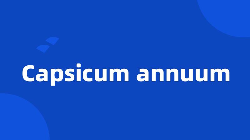 Capsicum annuum