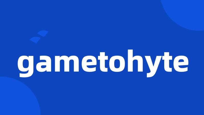 gametohyte