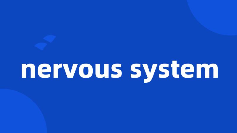 nervous system