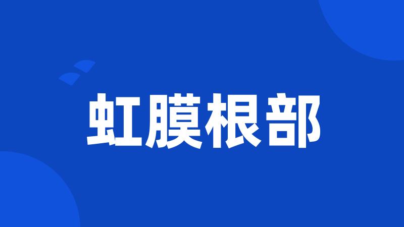 虹膜根部