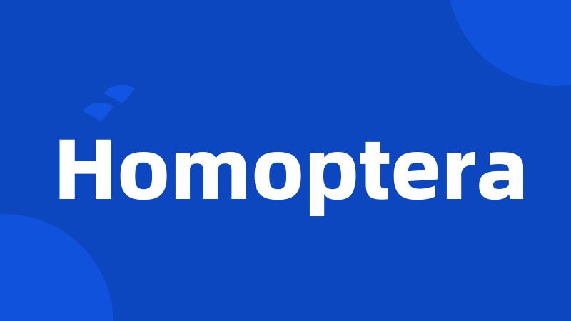 Homoptera