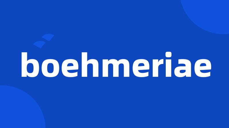 boehmeriae