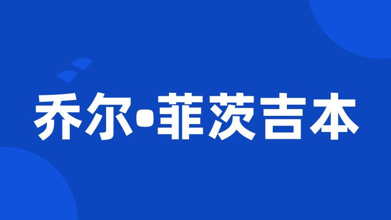 乔尔•菲茨吉本