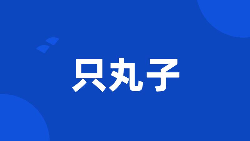 只丸子