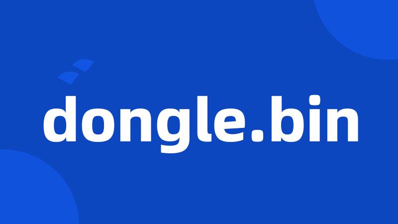 dongle.bin