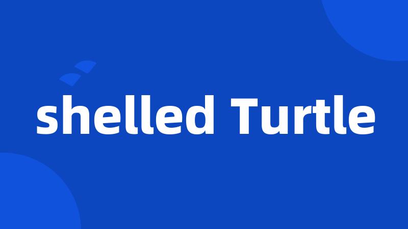 shelled Turtle