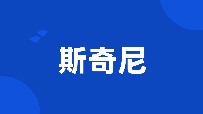 斯奇尼