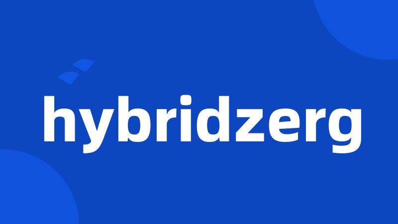 hybridzerg