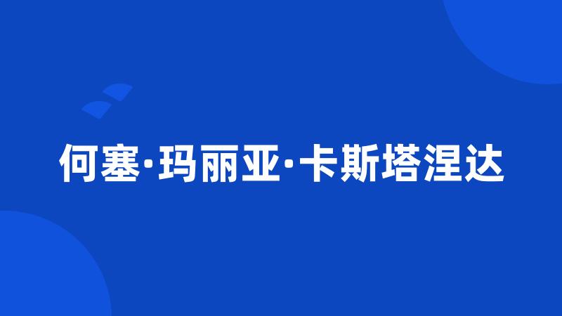 何塞·玛丽亚·卡斯塔涅达