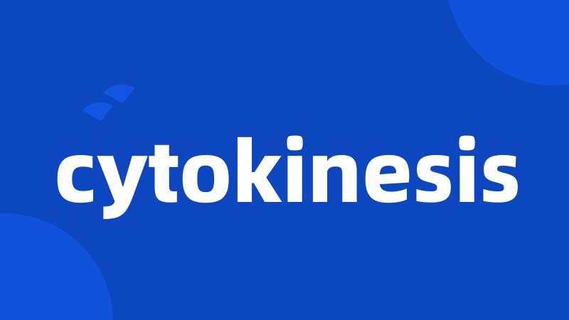 cytokinesis