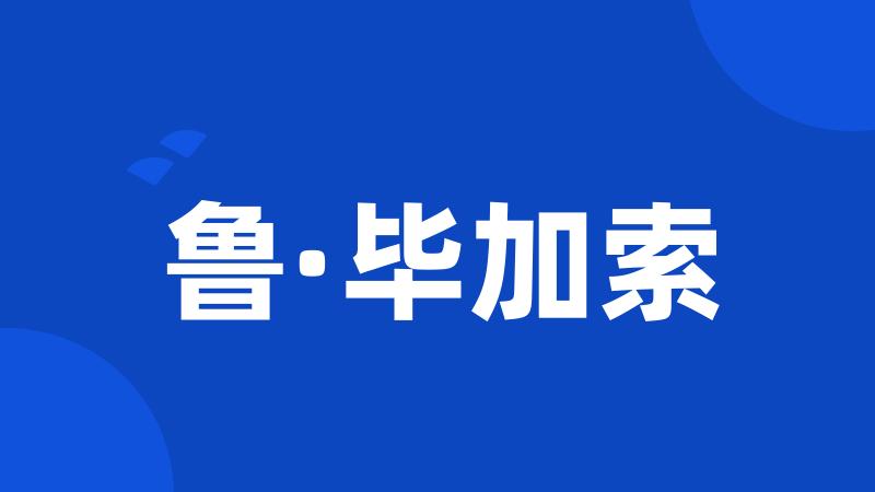 鲁·毕加索
