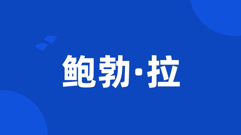 鲍勃·拉