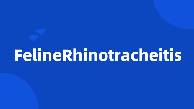 FelineRhinotracheitis