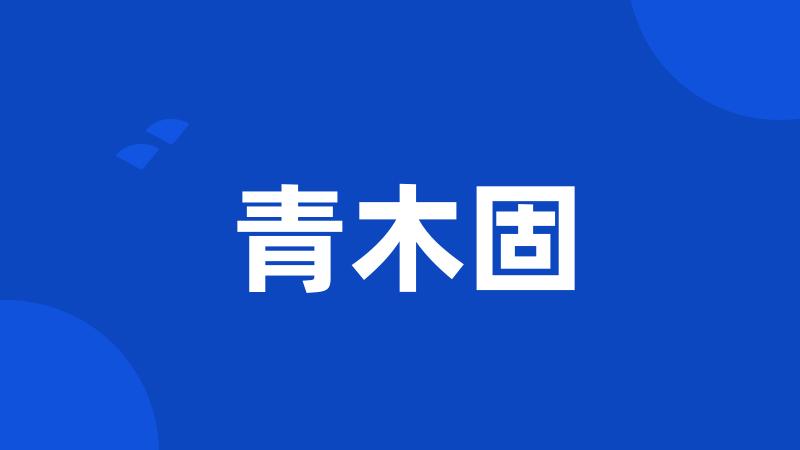 青木固